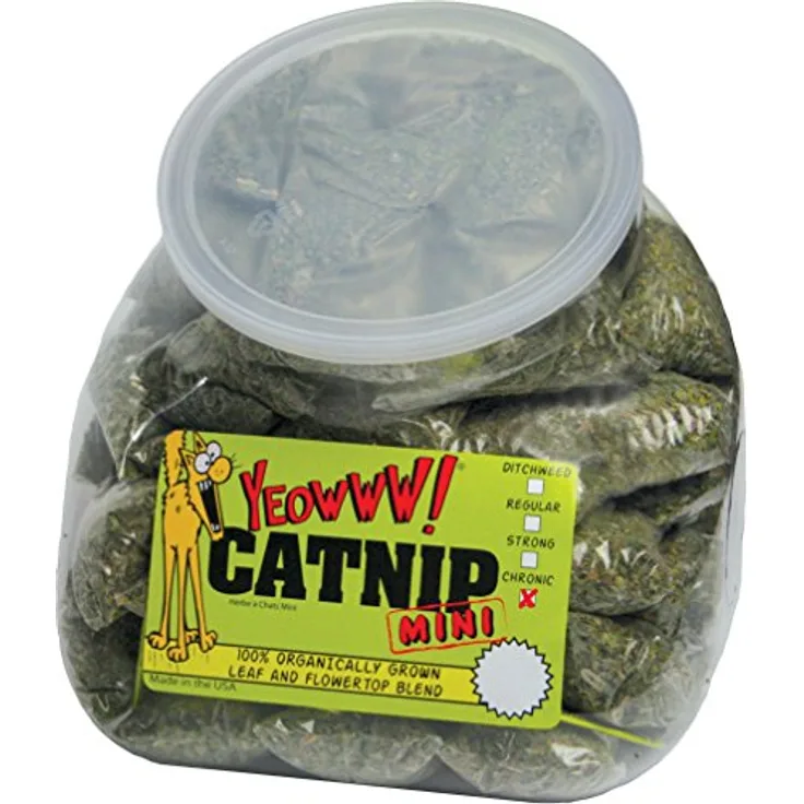 Yeowww YEOW024 Katzenminze Minis, 50 Stück