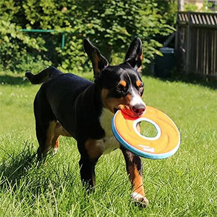 Chuckit! (4 Pack) Zipflight Amphibious Flying 6-Inch Ring Dog Fetch Toy Small – Bild 3