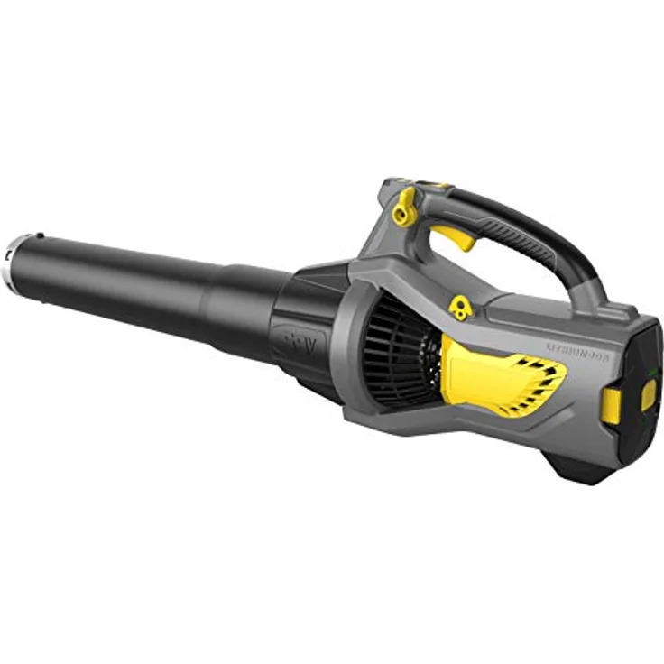 TEXAS LBZ5800 Profi Akku Laubbläser Bläser Turbostufe 58V ohne Akku
