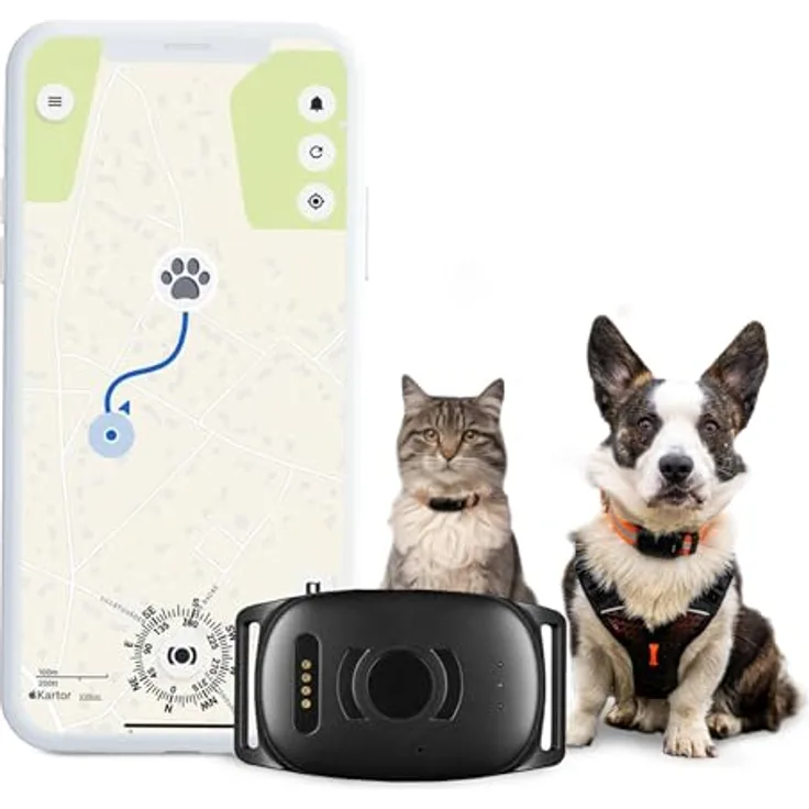 Atto Pro GPS-Tracker für Hunde & Katzen mit 4G, Echtzeit-Tracking, Fluchtalarm & unbegrenzter Reichweite – wasserdicht, mini