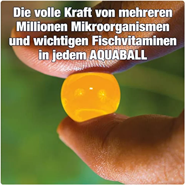 AQUALITY AQUABALLS Herbst & Winter für den Gartenteich (Lebensnotwendigen Mikroorganismen - Optimale Abgabe bis zu 4 Wochen - Perfekt überwintern), Inhalt:1 Liter – Bild 3