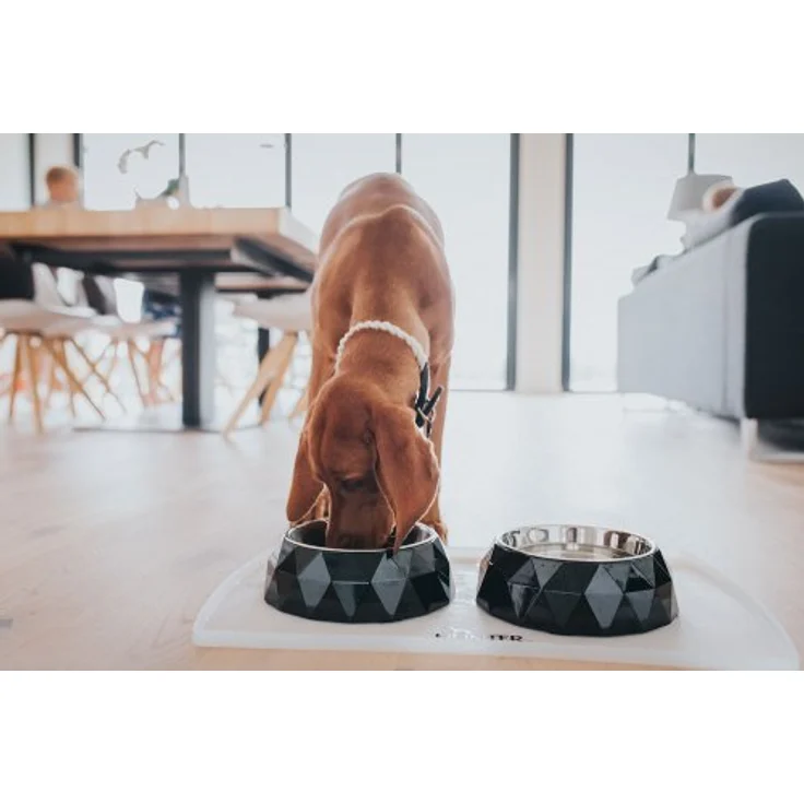 Hundenapfunterlage Größe: Maße 48 x 30 cm, S, transparent – Bild 2