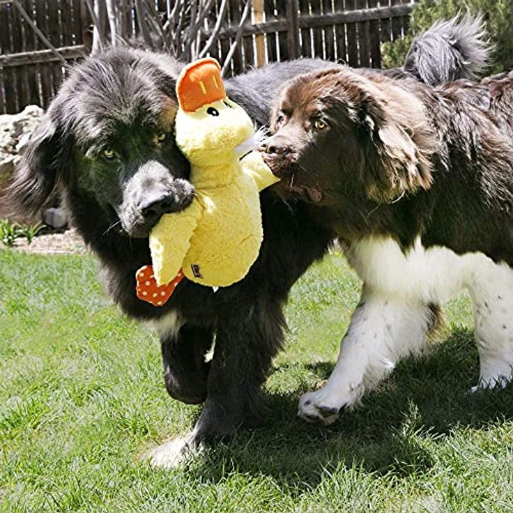 KONG Zubehör Hund Comfort Jumbo X-Large Sortiert Hundespielzeug – Extra Robuster Naturkautschuk schwarz – Bild 2