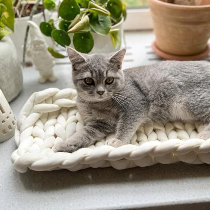 Aumüller Fensterbankliege für Katzen - Katzenbett aus Grobstrick - Beige, gemütlicher Ruheplatz mit erhöhtem Rand – Bild 2
