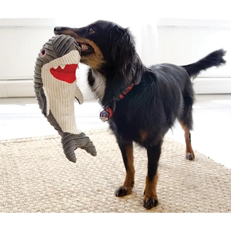 KONG Cuteseas Rufflez Hundespielzeug, weiches Plüschspielzeug im Hai-Design mit geriffeltem Körper und Quietscher – Bild 2