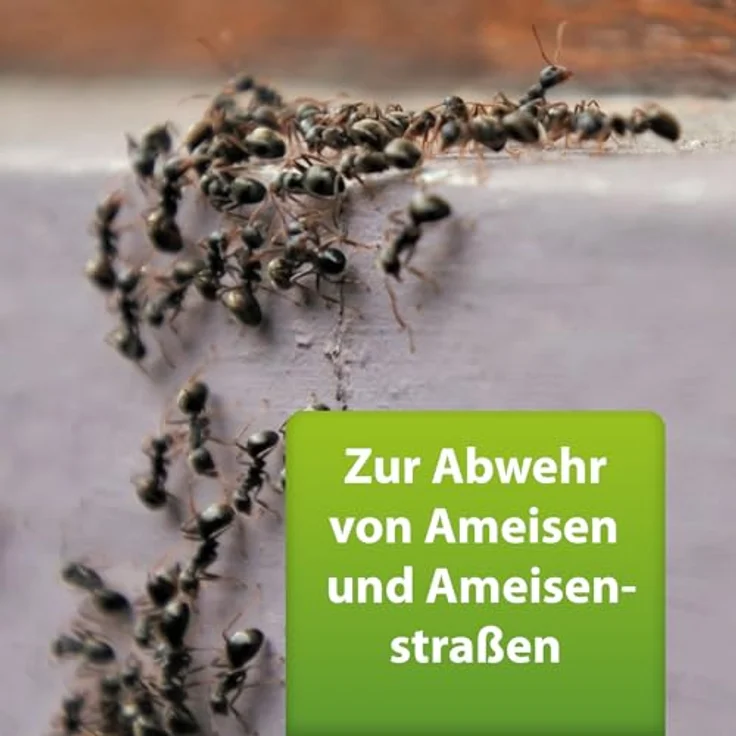 ARDAP Repell Ameisenspray 400ml - Mittel gegen Ameisen - Wirkt schnell & effektiv, für Innen und Außen - ARDAP – Bild 3
