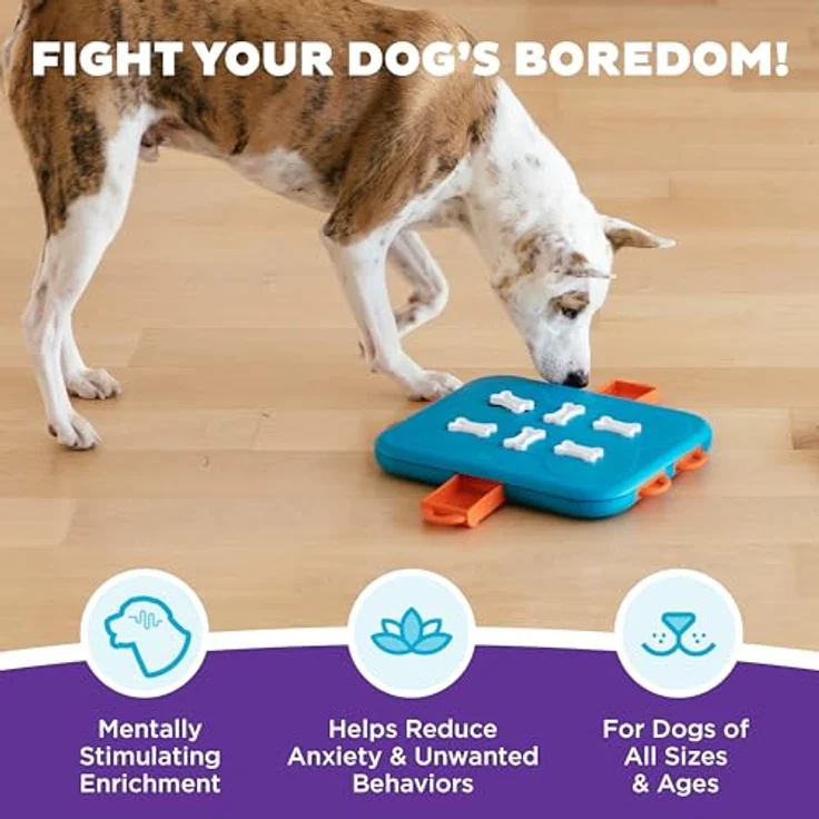 Outward Hound Nina Ottosson Dog Casino Puzzle Spielzeug, Stufe 3 Intelligenzspielzeug für Hunde, Leckerli-Spender aus robusten Materialien – Bild 2