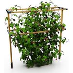Gusta Garden Berry Buddy - Flexible Rankhilfe für Beeren: Himbeeren, Brombeeren & Heidelbeeren, erweiterbar, produziert in der EU, Rankgitter aus Holz (120cm)