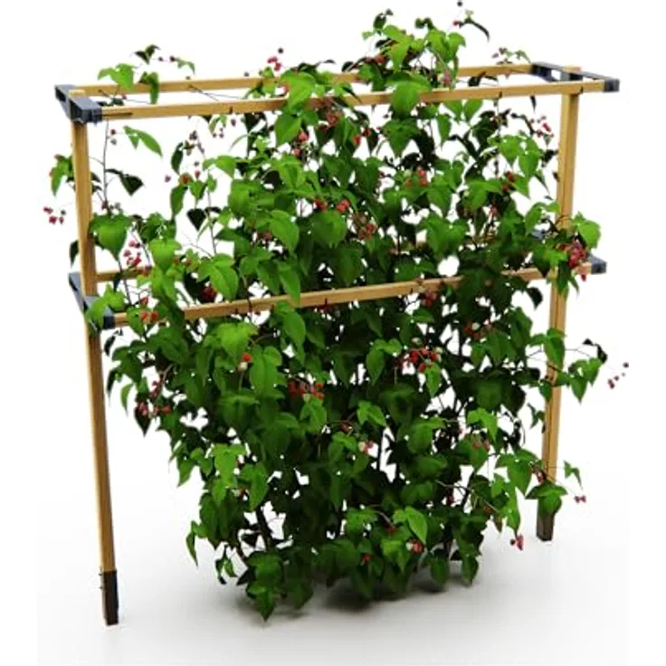 Gusta Garden Berry Buddy - Flexible Rankhilfe für Beeren: Himbeeren, Brombeeren & Heidelbeeren, erweiterbar, produziert in der EU, Rankgitter aus Holz (120cm)