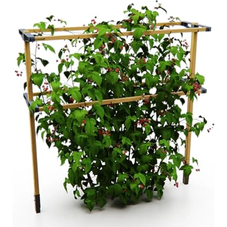 Gusta Garden Berry Buddy - Flexible Rankhilfe für Beeren: Himbeeren, Brombeeren & Heidelbeeren, erweiterbar, produziert in der EU, Rankgitter aus Holz (120cm) – Bild 1