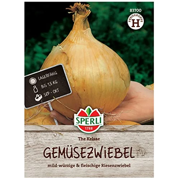 Sperli Zwiebel The Kelsae – Bild 2