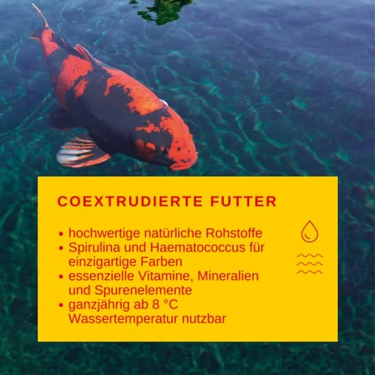 sera KOI Professional Spirulina Farbfutter 7 kg (21L) | Koi-Fischfutter für perfekte Farben| Für Temperaturen über 8°C | Unterstützt das Wachstum von Kois | Geringere Wasserbelastung | Weniger Algen – Bild 5