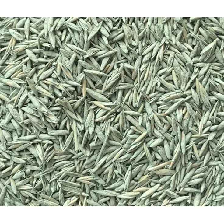 Substral Die Nachsaat 400 g – Bild 3