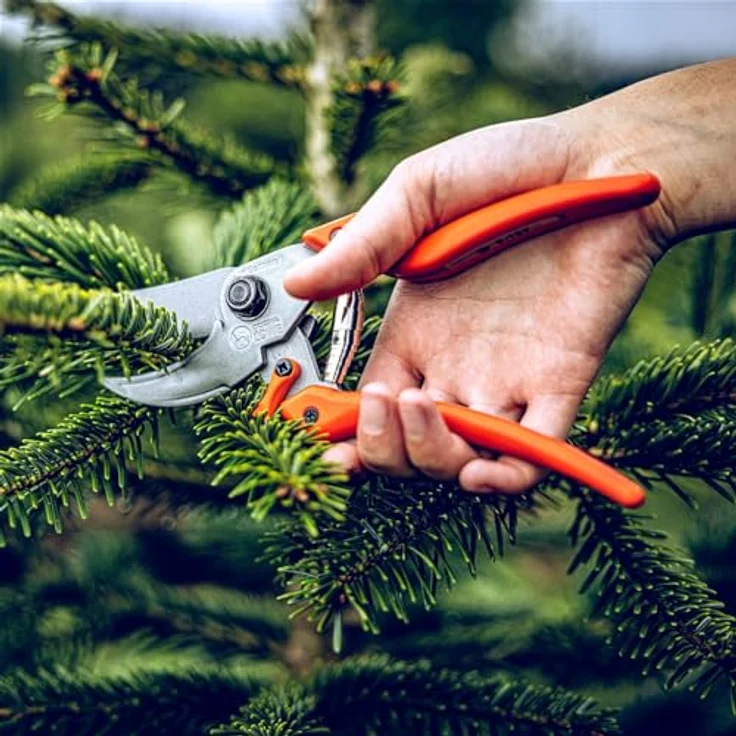 Löwe Gartenschere Original Löwe 9, Länge ca. 22 cm, Bypass Standard Baumsäge, ergonomischer Griff, Metall-Design – Bild 2