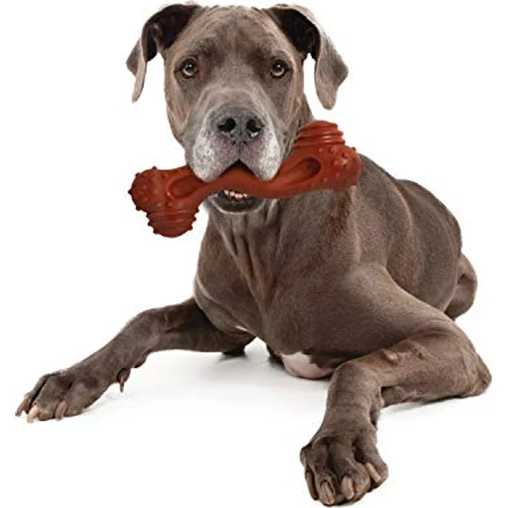 Nylabone Dura Power Chew Monster Curve Bone Bison Xtreme, Hundespielzeug – Bild 2