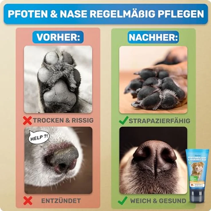 BluePet Schnelleinziehender Pfotenbalsam für Hund & Katze, 50 ml, gegen trockene, rissige Pfoten und Nasen, mit Arnika, Ringelblume & Shea, schnell einziehend ohne Fettfilm – Bild 4
