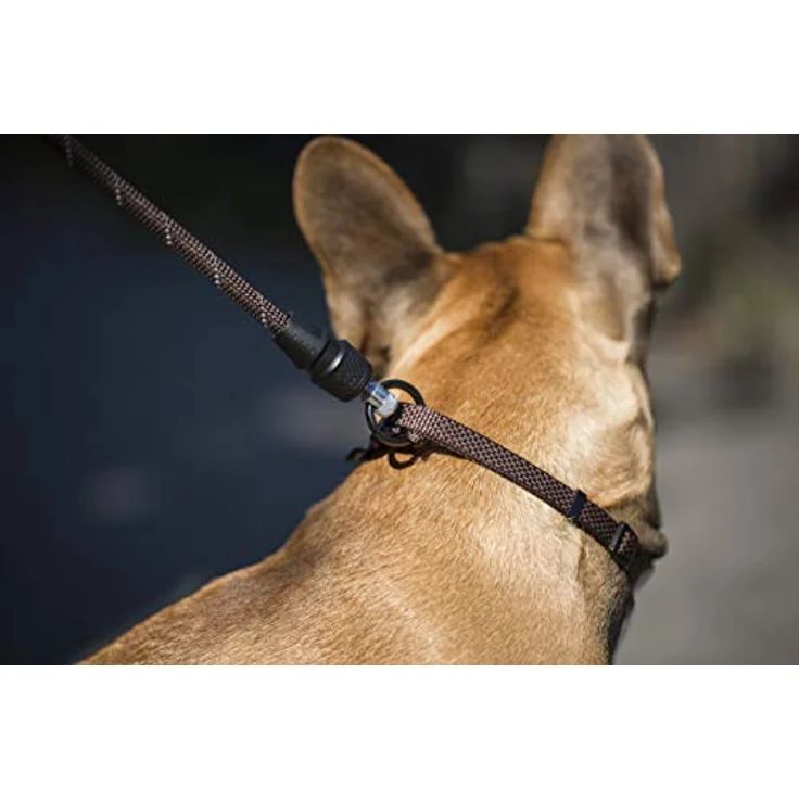 Kerbl GoLeyGo 2.0 Flat Hundeleine mit Klick Magnetverschluss, inkl. Adapter-Pin, Schwarz, M - Preisvergleich – Bild 3