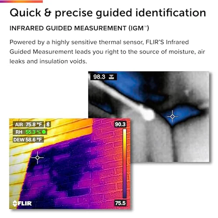 FLIR Feuchtigkeitsmessgerät mit integriertem Wärmebilddetektor für Temperatur- und relative Feuchtigkeitsmessungen, 1 Stück, MR176 – Bild 4