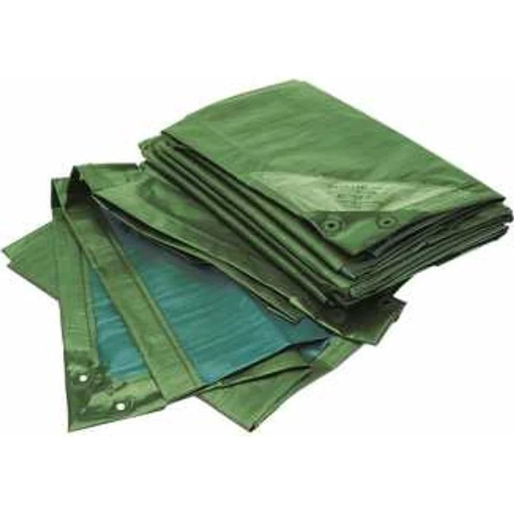 Bio Green Rainexo Abdeckplane Power Plane Planen 10x15m Grün-Blau RX15010X15GB – Bild 1