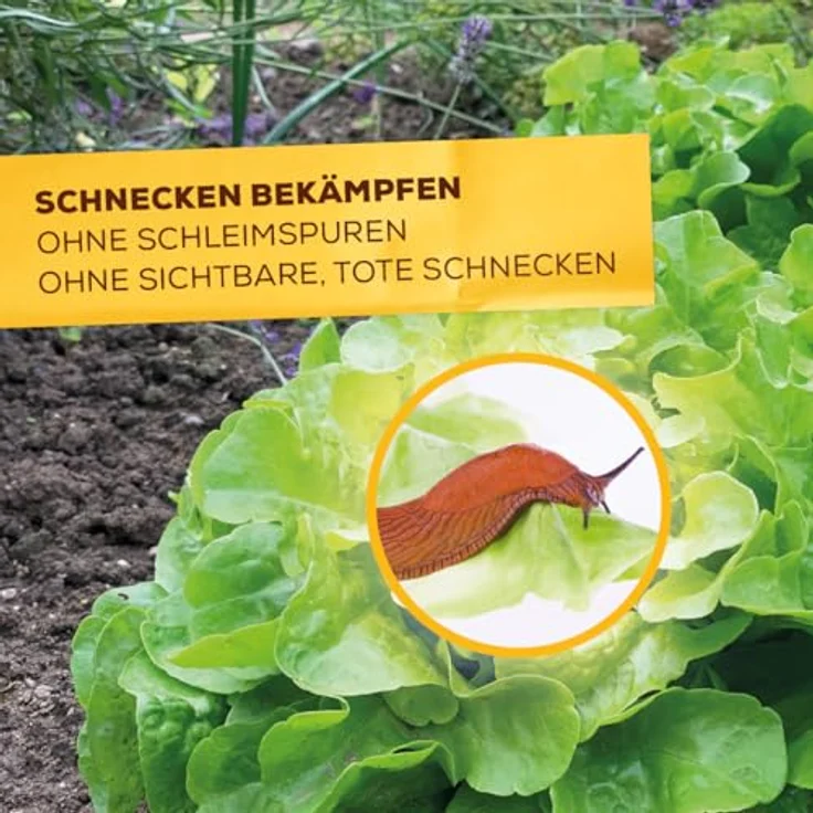 Solabiol Bio-Schneckenkorn, 1,9 kg Faltschachtel für ökologische Schneckenbekämpfung, bis zu 500m², regenfest und nützlingsschonend – Bild 4