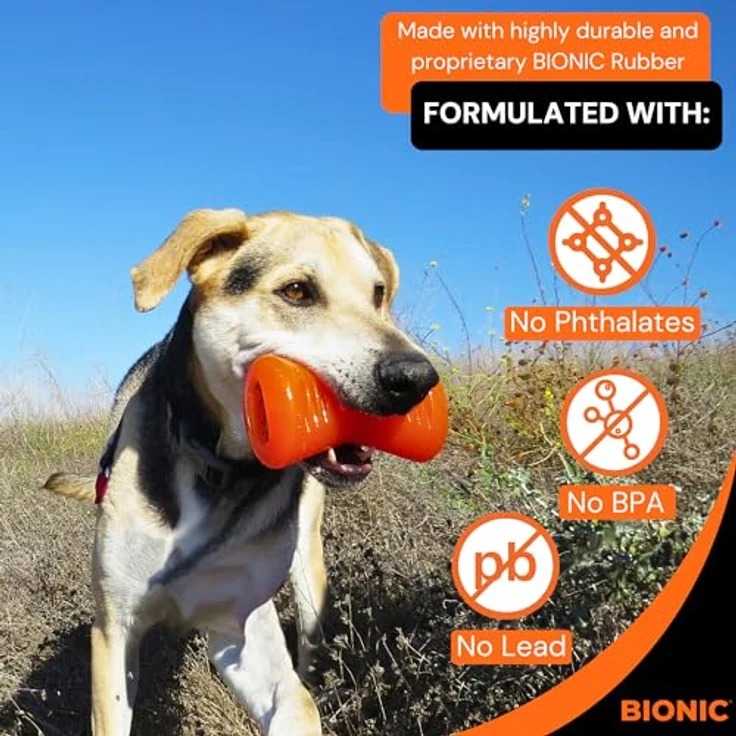 Bionic Bionic Bone Knochen, extrem widerstandsfähiges Hundespielzeug, 12cm, für Hunde zwischen 7-15kg – Bild 4