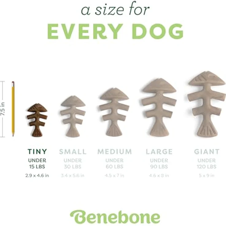 Benebone Fishbone 2-Pack Mini 12cm - (81005421034), Hundespielzeug – Bild 4