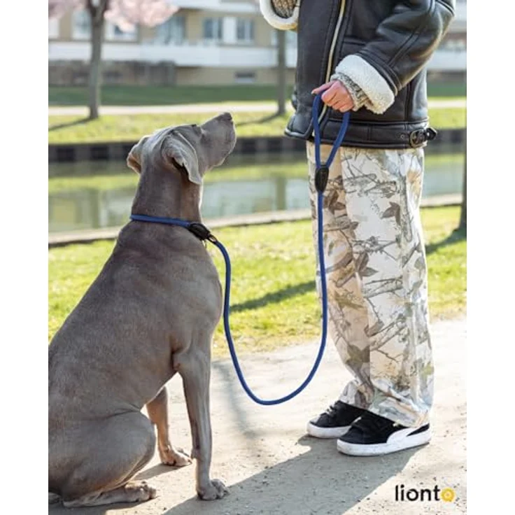 lionto Retrieverleine, robuste und wetterfeste Kombileine mit Zugstopp, für Hunde aller Größen, 120 cm, vegan, blau – Bild 2