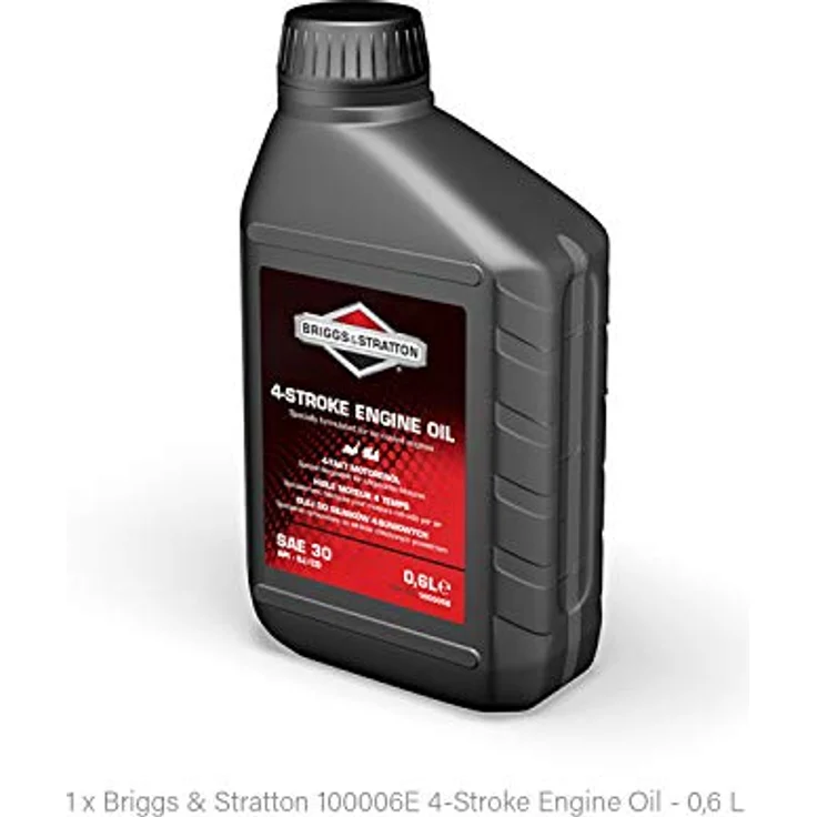 Briggs & Stratton 992244 Motor Care Kit für 625-650-675 Quantum Serie, schwarz – Bild 2