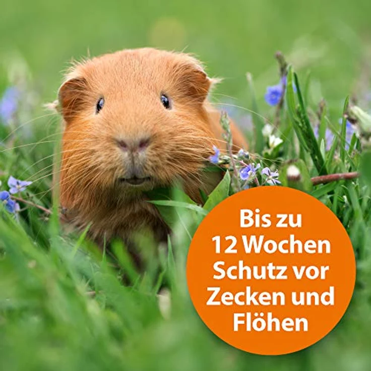 Ardap Insektenspray Spot-On für Kleintiere 1-4 kg, 3 x 0.4 ml, mit natürlichem Pyrethrum gegen Flöhe und Zecken – Bild 4
