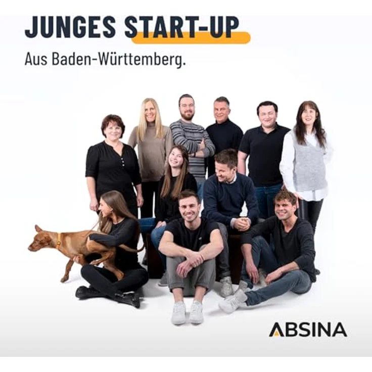 Absina mobile Ladestation Wallbox Typ 2, 11 kW, 6,4 m Kabel, schwarz, mit einstellbarem Ladestrom, IP67 wasserdicht und sicherem Überfahrschutz – Bild 7