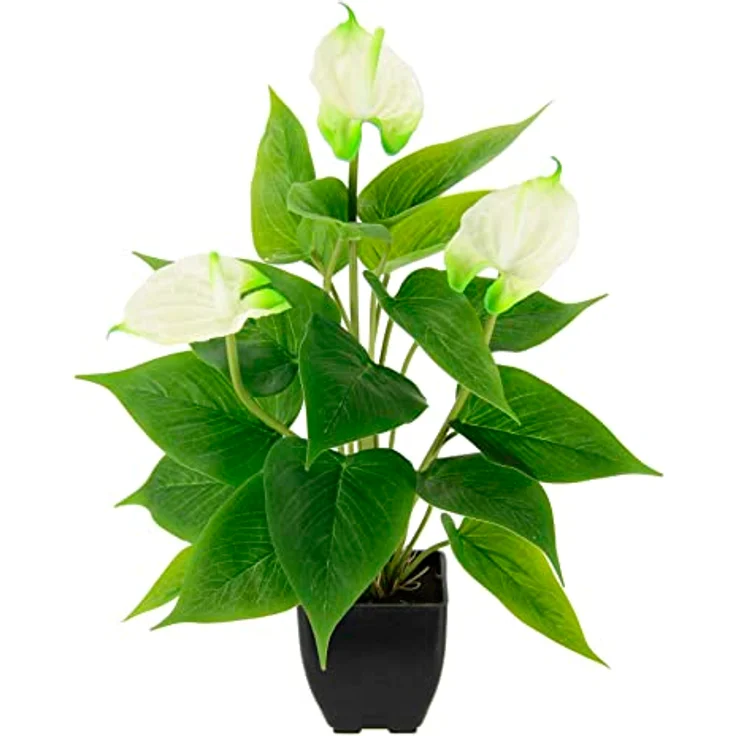 Künstliche Anthurium Pflanze im Topf Anthurie Calla exotische Flamingoblume Flamingo Blume exotische Pflanze mit weißen Blüten Flamingopflanze Kunstpflanze Dekopflanze Kunstblume Deko Zimmerpflanze – Bild 1