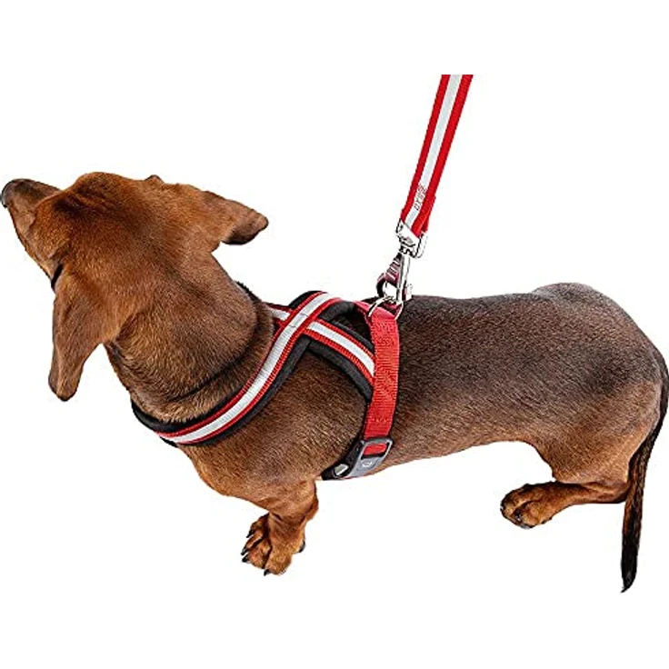 Ferplast Daytona Cross, kleines Hundegeschirr aus Nylon mit weicher Polsterung, reflektierend, verstellbar und Magnetschnalle, blau – Bild 3