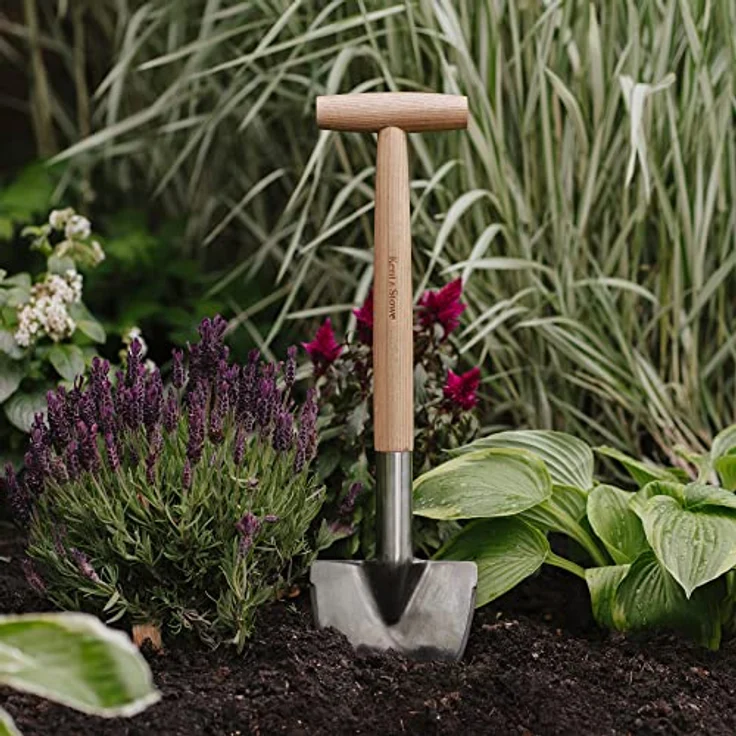 Kent & Stowe Staudenspaten – Profi-Spaten aus Edelstahl, für die Verwendung im Beet, Gartenspaten mit Stiel aus Eschenholz, Länge: 54 cm – Bild 3