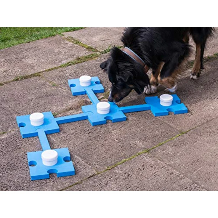 Schnüffel-Set für Hunde, Hundespielzeug, Agility Training, Geruchssinn Training, Hundesport – Bild 2