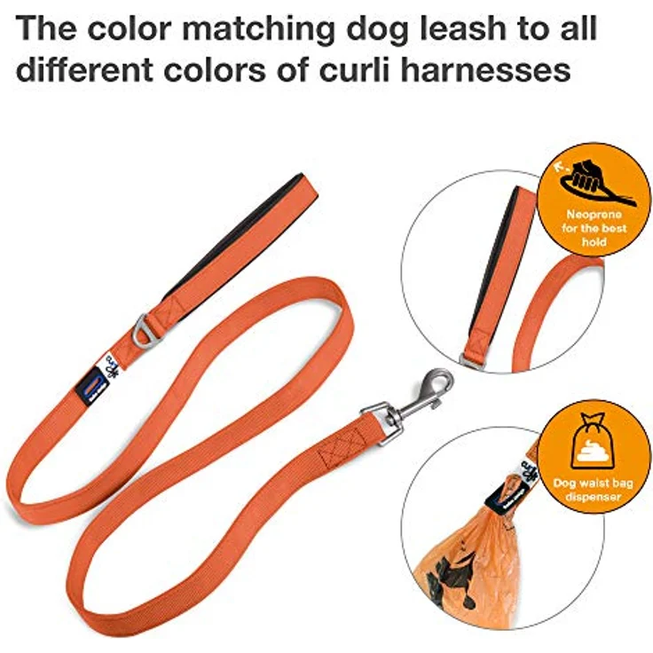 Curli Hundeleine Basic, 100% Nylon, angenehmer Griff, erhältlich in zwei Größen – Bild 2