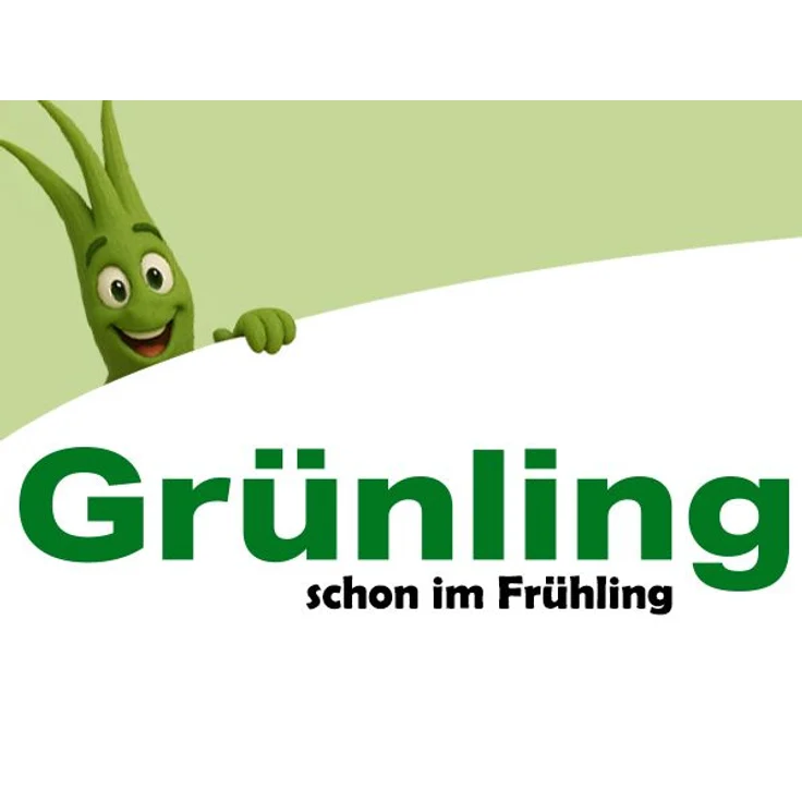 A&G-heute 25kg Eisendünger Rasendünger Grünling 20 Eisen-2-Sulfat für ca. 1000m² Rasenfläche für sattes Grün – Bild 3