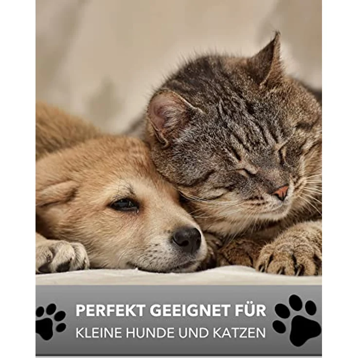 Futterstation Hund 2 Näpfe Futterbar mit erhöhter Rückwand Spritzschutz rutschfeste Hundebar Futternapf Wassernapf Unterlage Matte Hunde Katzen – Bild 5