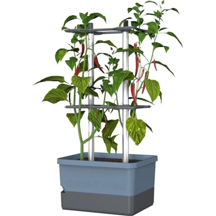 Gusta Garden Pflanzkübel CHARLY CHILI, Chilitopf mit automatischem Bewässerungssystem und stabiler Rankhilfe, regular blau