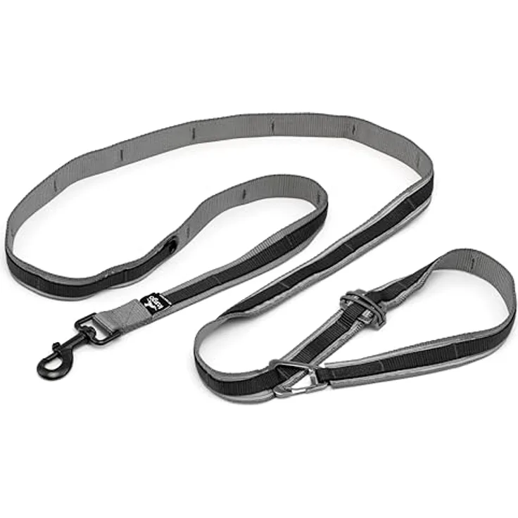Kurgo Quantum Leash, preisgekrönte Hundeleine in Schwarz mit sechs Funktionen und einfachem Karabiner