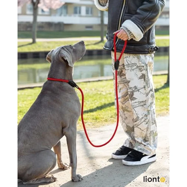 lionto Retrieverleine Moxonleine, robust und wetterfest, 120 cm mit Zugstopp, fellschonend, vegan, rot – Bild 2