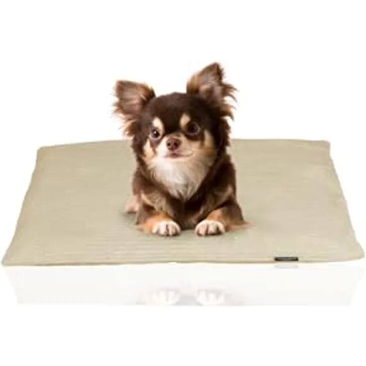 Rohrschneider® Weiches Hundebett mit waschbarem Bezug | Gemütliches Hundekissen aus Cord | Premium Hunde Bettdecke | Hundebett waschbar | Kuscheliges Hunde Kissen