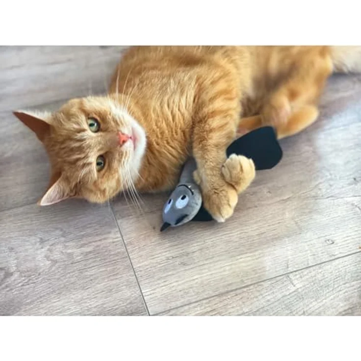 Aumüller Fledermaus Frido, Tierkuscheltier Katzenspielzeug mit Baldrianfüllung und raschelndem Öko-Dinkelspelz, 23 x 15 x 3,5 cm – Bild 4