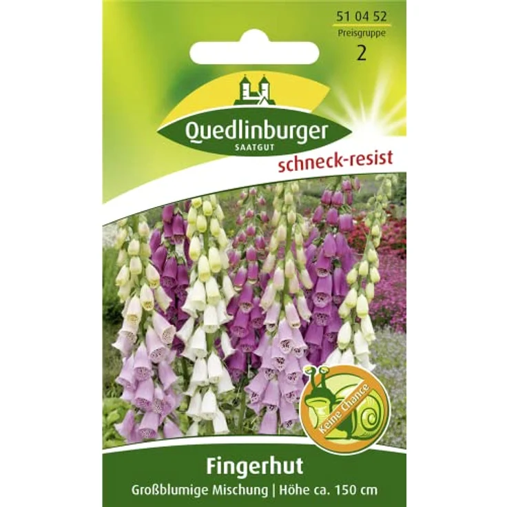 QUEDLINBURGER Fingerhut, Großblumige Mischung – Bild 2