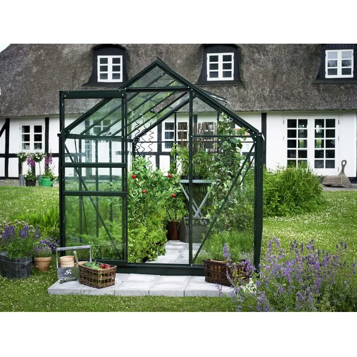 AKTION Halls Gewächshaus Popular 106, 3.19x1.93x1.96 m, Grün 3 mm Sicherheitsglas schwarz - Preisvergleich