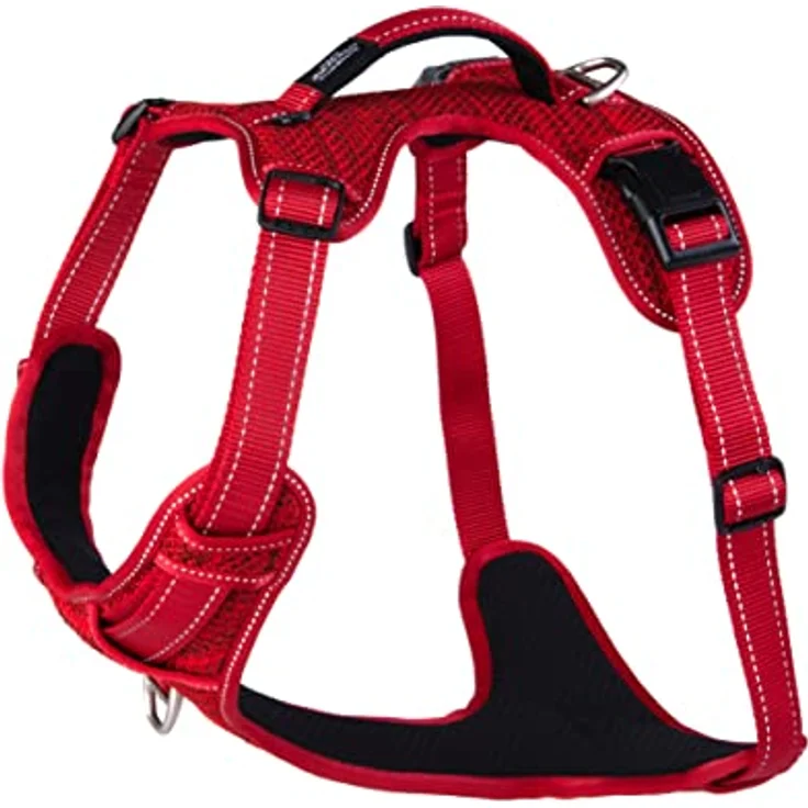 Rogz braces for dog Explore XL SJX05C (width 2,5cm; circumference 66-95cm) (Hund, Hundesport), Halsband + Leine – Bild 1