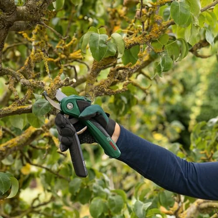 Bosch Gartenhandschuhe, Größe: XL – Bild 4