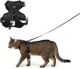LucyBalu® Explorer Katzengeschirr mit Leine, ausbruchsicheres Brustgeschirr mit AirTag Fach, verstellbar, Schwarz M/L