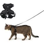 LucyBalu® Explorer Katzengeschirr mit Leine, ausbruchsicheres Brustgeschirr mit AirTag Fach, verstellbar, Schwarz M/L