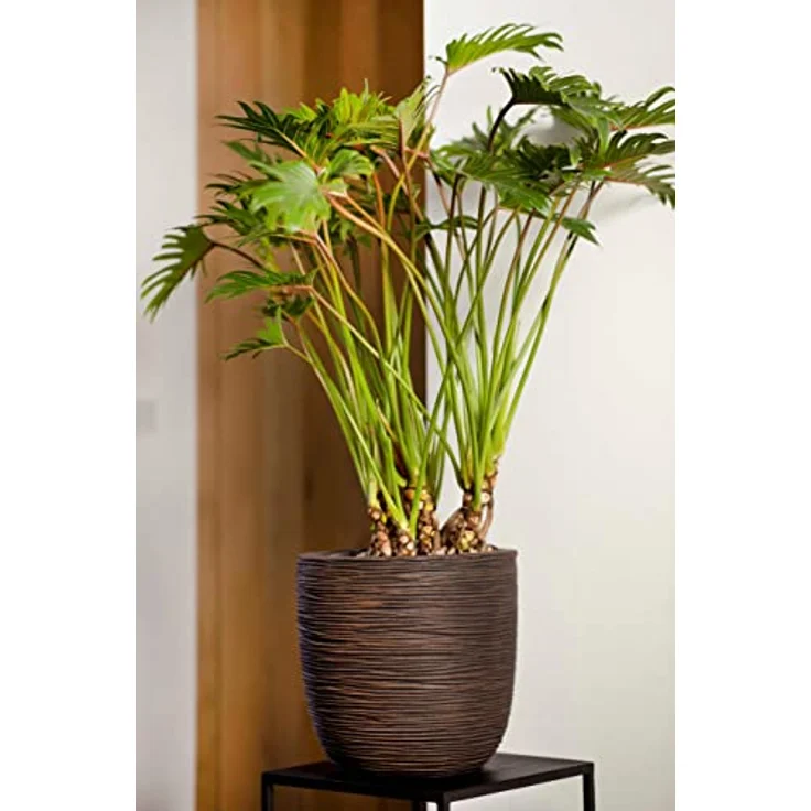 Capi kblr932 Nature Übertopf Ball Rib, schwarz, 88,9 x 86,4 cm – Bild 3