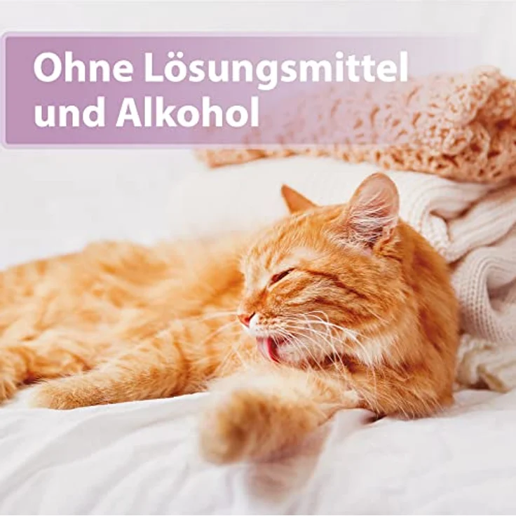 Felisept Fellpflege Spray für Katzen, 250ml - zur Entfilzung, milde Pflege für Langhaarkatzen und Senioren – Bild 5